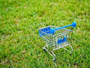 Blue toy in basket on field