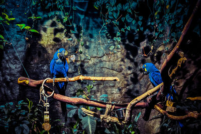 Group of people in the forest