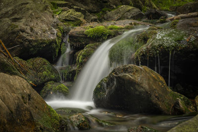 Plomnica creek