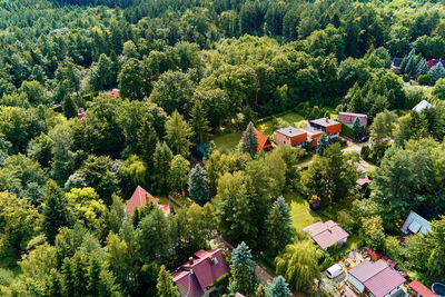 Village in mountains with forest, aerial view. mountain landscape