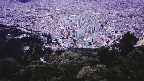 High angle view of trees in city