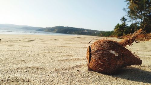 Close-up of a sand on the beach