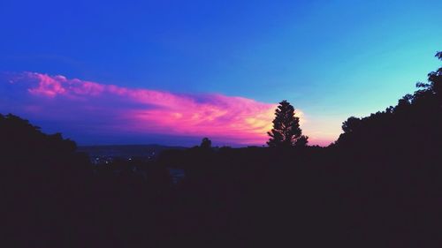 Silhouette of trees at sunset