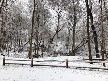 Bare trees on snow covered landscape against sky