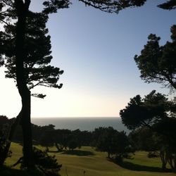 Scenic view of landscape against clear sky