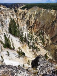 Grand canyon of yellowstone