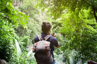 Rear view of man in forest