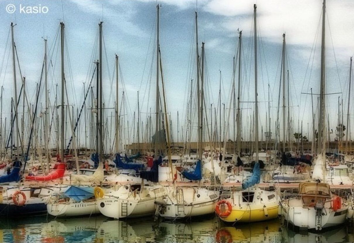 nautical vessel, moored, boat, transportation, mode of transport, harbor, water, mast, large group of objects, abundance, in a row, side by side, sailboat, group of objects, sky, reflection, waterfront, day, no people, outdoors