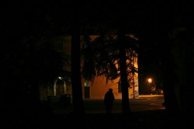 Silhouette of man at night