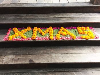 Multi colored flowers