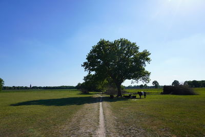 Scenic view of field against sky with cows in three shade