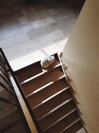 High angle view of staircase at home