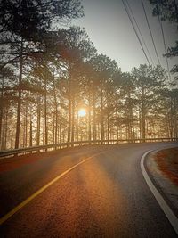 Empty road along trees