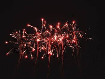 Low angle view of firework display against sky at night