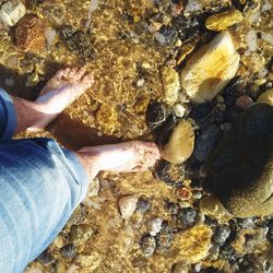 Low section of man with pebbles at beach