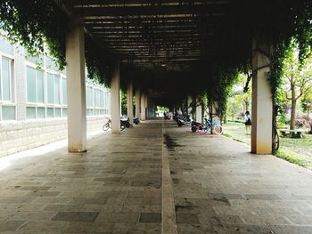 Corridor of building