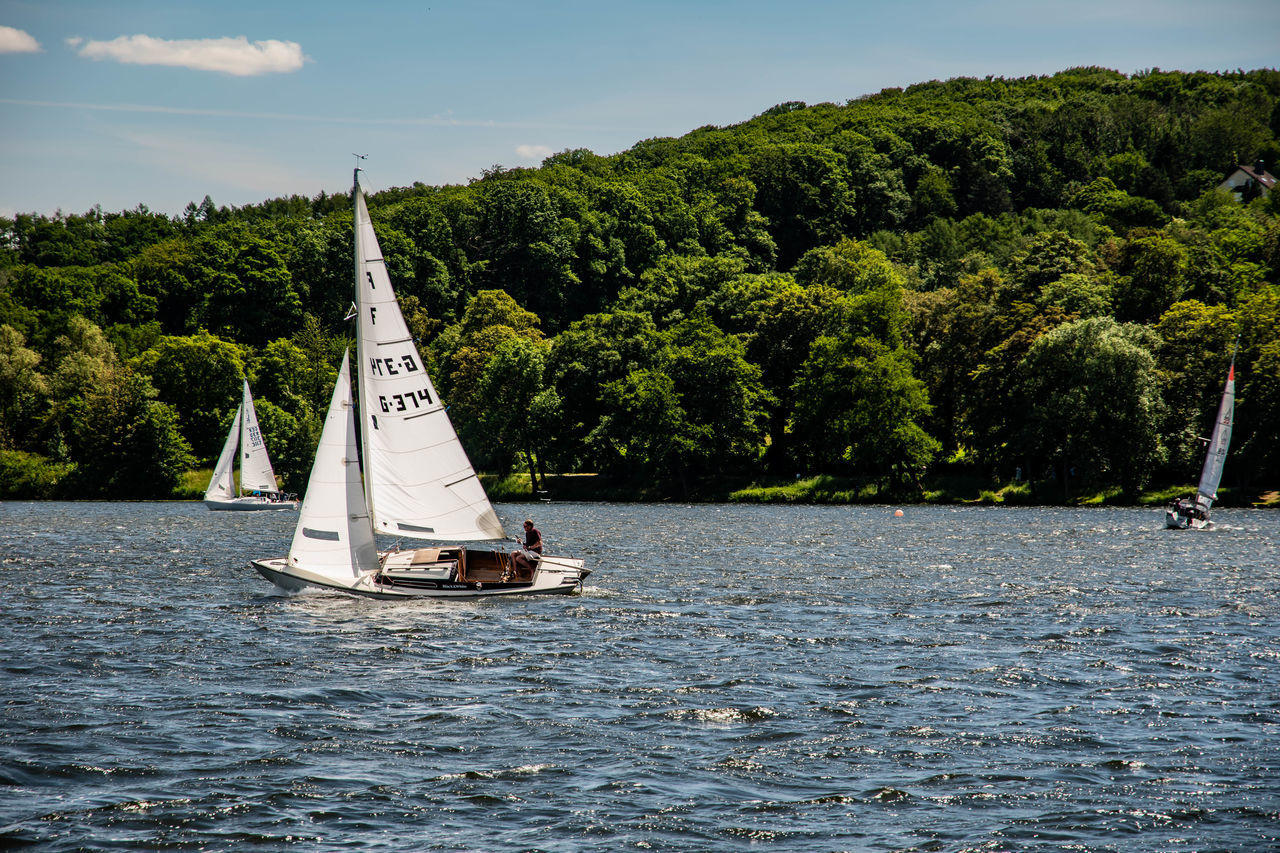 water, nautical vessel, transportation, sailboat, tree, plant, boat, sailing, mode of transportation, sea, nature, vehicle, sky, ship, travel, environment, watercraft, beauty in nature, windsports, sailing ship, yacht, scenics - nature, sports, vacation, outdoors, holiday, cloud, trip, summer, mast, day, land, yachting, water sports, tranquility, tranquil scene, travel destinations, luxury, no people, adventure, pole, bay, idyllic, leisure activity, forest, competition, boating