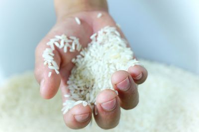 Cropped hand holding rice