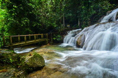 Scenic view of waterfall in forest