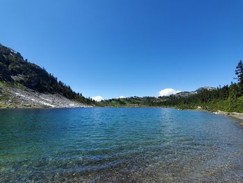 Scenic view of sea against clear blue sky