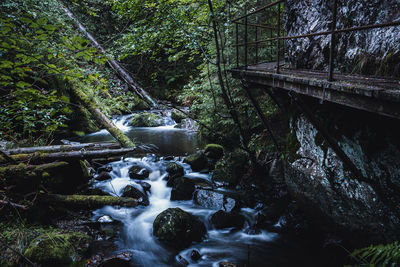 Stream flowing through rocks in forest