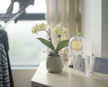 Close-up of flower vase on table