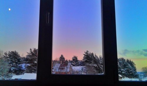 Trees against sky during sunset