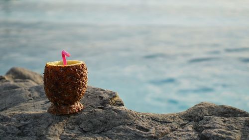 Close-up of ice cream on rock