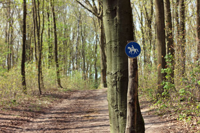 Blue sign with rider on peg marks horse trail in forest in spring day