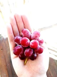 Close-up of hand holding strawberries