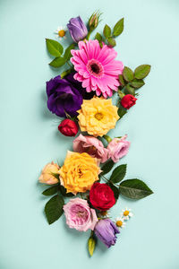 High angle view of multi colored flowers against white background