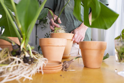 Banner. a young man hands holding monstera deliciosa cultivation and caring for indoor potted plants