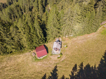 High angle view of trees and plants on field