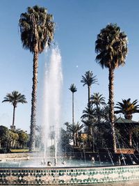Palm trees by swimming pool against sky
