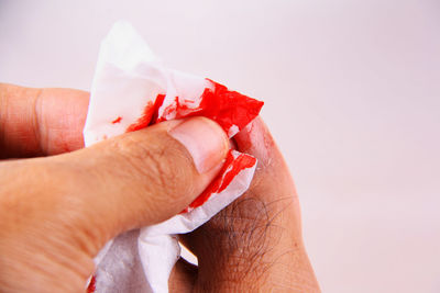 Close-up of hand holding red rose over white background