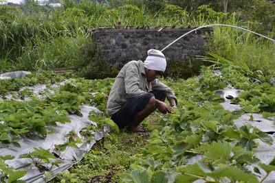 Side view of man working on farm