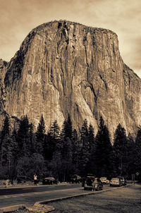 View of trees on rock against sky