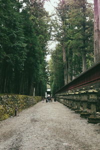 People walking on road amidst trees against sky