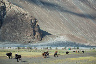 Horses on landscape against sky