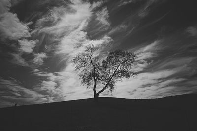 Low angle view of silhouette tree against sky