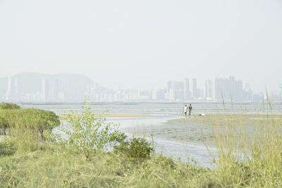 Scenic view of sea against clear sky