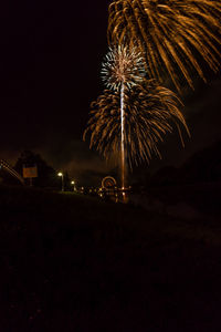 Firework display at night