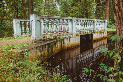 Bridge over canal amidst trees in forest