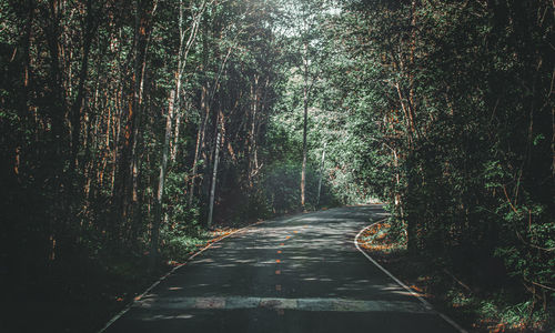 Empty road amidst trees in forest