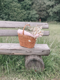 Bench in basket on field