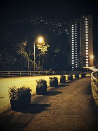 Illuminated street lights on footpath in city at night