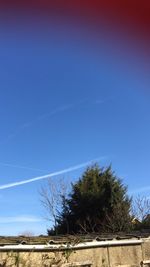 Low angle view of trees against clear blue sky