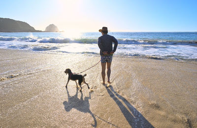 Rear view of man walking at beach