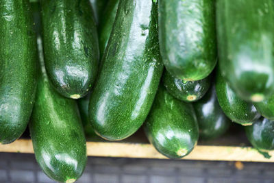 Close-up of zucchini for sale in market