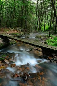 Scenic view of river flowing through rocks